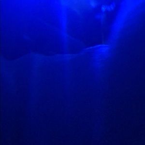 Meet your Posher, Jake